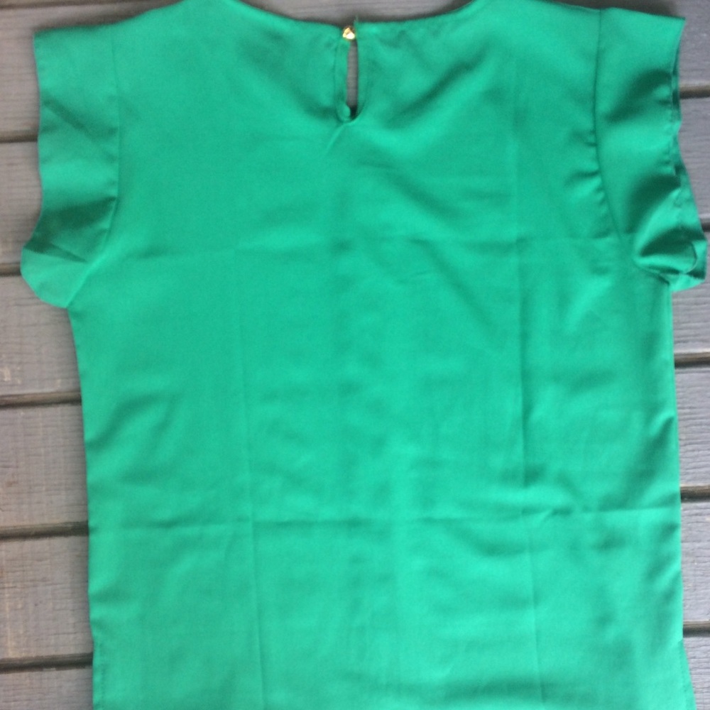 Chiffon Blouse - Picture 3 of 3
